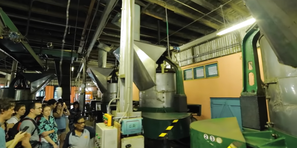 tea-factory visit