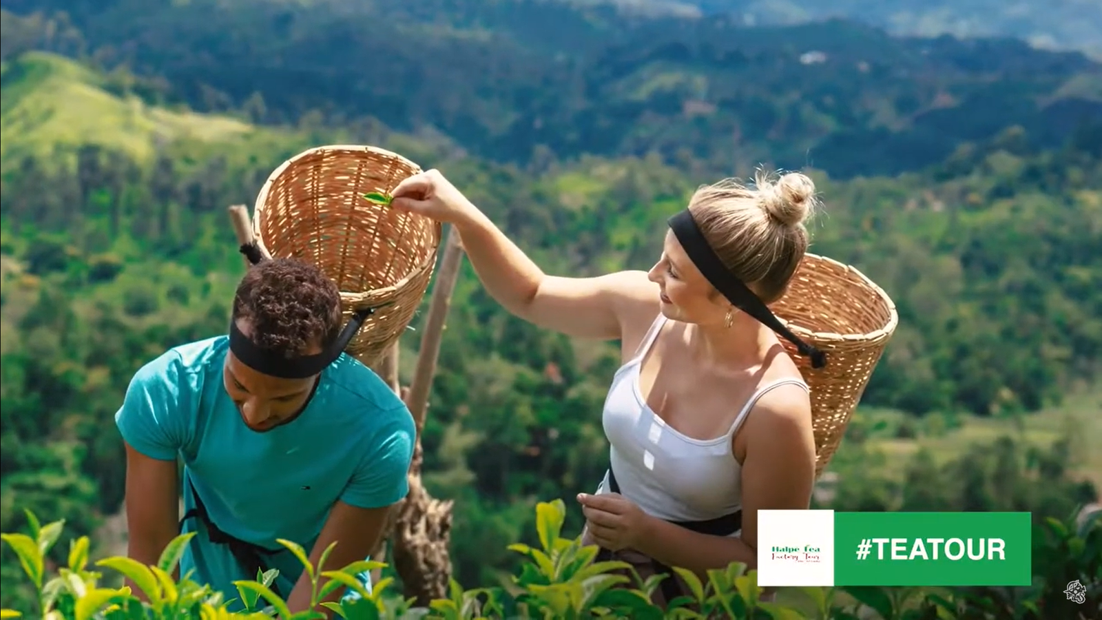 Tea Factory Visiting | Sri Lanka Wonders