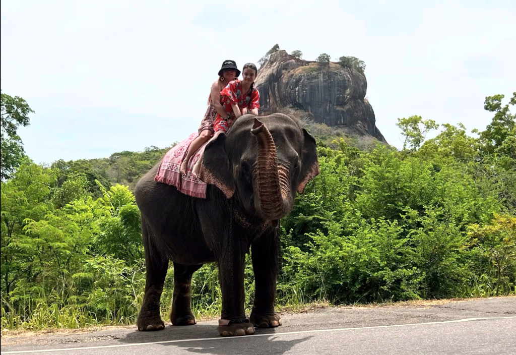 elephant ride